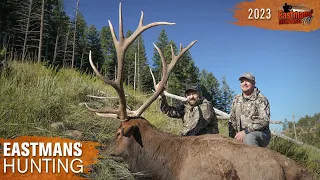 7x8 Bull! Colorado Elk Hunt | Eastmans' Hunting TV