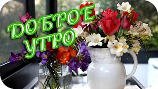 Доброе утро! 🌸 Удачи вам и теплоты близких! 🌸 Супер-пожелание! 🌸