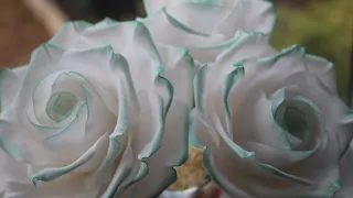 Dusting Tea Roses | Cake Decorating Tutorial | Edibles