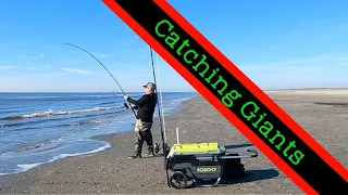 Catching Surf Giants | with a surprise catch