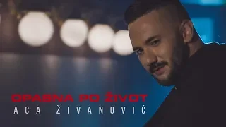 ACA ZIVANOVIC - OPASNA PO ZIVOT (OFFICIAL VIDEO) 4K