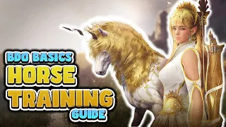 2024 Horse Training Guide for Black Desert Online | BDO Basics