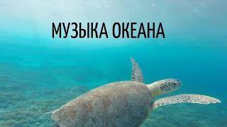 музыка океана