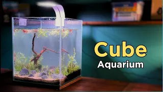 How to: I set up my first cube aquarium (No Filter No C02 Aquascape Tutorial)