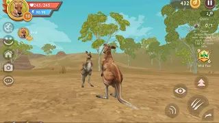 WildCraft - Playing as a Kangaroo level 1 to 10 !