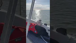 Mit HUND segeln ⛵️🐕‍🦺 zusammen auf dem IJSSELMEER entspannen - Dehler 31 PASSION ⛵️