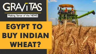 Gravitas: Can India stabilise the global wheat market?
