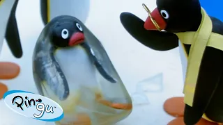 Pingu is Full of Surprises! 🐧 | Pingu - Official Channel | Cartoons For Kids