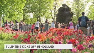 Tulip Time kicks off with Dutch culture and tulips on full display