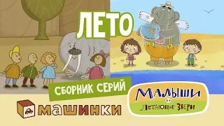 Сборник Лето - Серии Малышей и Машинок! Развивающий мультфильм 13+