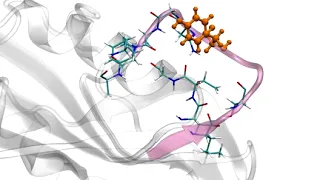 In silico mutation: Molecular dynamics simulation of PfHGXPRTase W181Y mutant