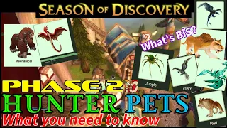 Hunter Pets ! - Phase 2 - Season of Discovery - What you need to know! - WoW Classic