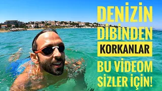 Deniz Korkumuzu Yenelim | Karaltılardan, Balıklardan, Yosunlardan Tedirgin Olanlar! Korkmayın!