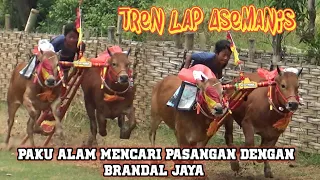 Tren lap Asemanis Pamekasan, Ada Tim Paku Alam Berpasangan Dengan Tim Brandal Jaya,