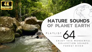 2 hours of pleasant natural sounds - forest river.
