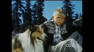 Lassie - Episode #431 - “The Greatest Gift” - Season 13, Ep. 14 - 12/25/1966