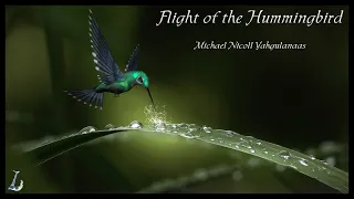 Flight of the Hummingbird: A Parable for the Environment