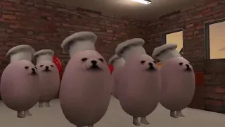 Eggdog Chef for 10 hours