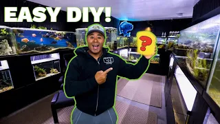 The Easiest and Cheapest Way to Acclimate Aquarium Fish!