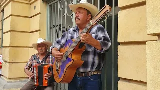 una polkita sol norteño