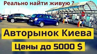 Авторынок в Киеве. Цены на АВТО до 5000 $. Январь 2020 | Автобазар