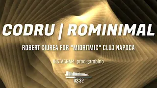 Robert Ciurea - CODRU | Microhouse | Rominimal FOR "MIORITMIC" CLUJ NAPOCA