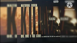 Dr Dre Feat Ice Cube-Natural Born Killaz(Seoh Remix)