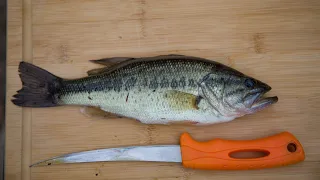 Largemouth BASS Catch and Cook