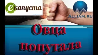 ИНТЕРНЕТ ЗАЙМ/ГЕРПЕС АДОЛЬФОВИЧ/РАЗМАЗАЛ КОЛЛЕКТОРА/слушать/Как не платить кредит.  домашние деньги