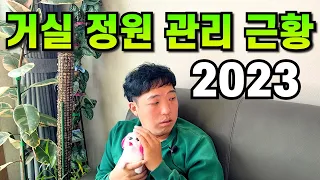 대충 식물 키우기ㅣ거실 정원 관리 2023년 1월