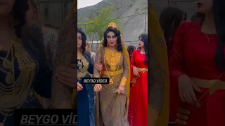 Adıyaman ailesinin gelini aşiret düğünü #shortvideo #dance #kurdish #wedding #halay#hakkari #shorts