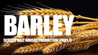 Barley - Anatomy, Steeping, Malting, Destoning