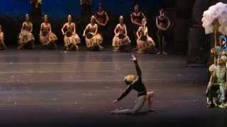 Sergei Polunin - La Bayadere 18.10.2013