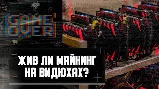 Жив ли майнинг без Nvidia | доходность RTX 4000 | копаем без DLSS 3 на пуле EMCD