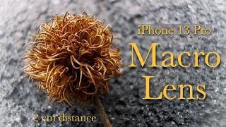 iPhone 13 Pro - Macro Lens Video Test