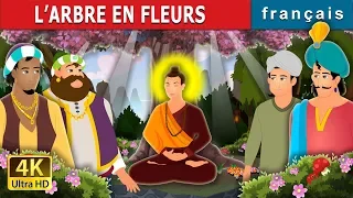 L’ARBRE EN FLEURS | The Blossom Tree Story | Histoire Pour S'endormir | Contes De Fées Français