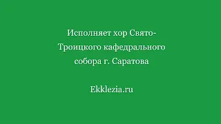 Во Царствии Твоем. Саровского напева