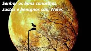 A Lei do Meu Senhor, Hinário Adventista Nº 526.wmv