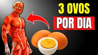 O que acontece com seu corpo se comer 3 ovos todos os dias | CORPO HIPERTROFIADO