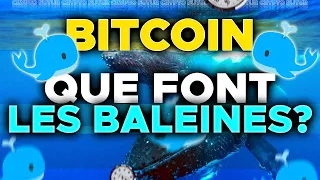 BITCOIN : QUE FONT LES BALEINES, POINT BAS PROCHE ?!🐳