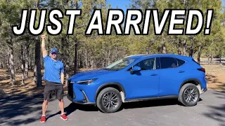 Just Arrived: All-New 2022 Lexus NX on Everyman Driver