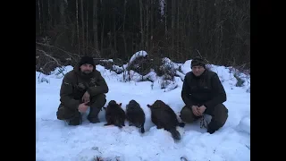 Охота на бобра весной. Добыто ТРИ бобра с БЕКАС АВТО и МР 155