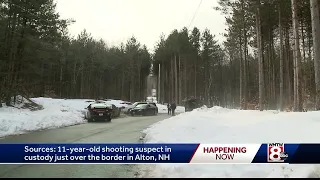 Alton shooting suspect in custody