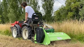 Goldoni Base 20 with Peruzzo Fox 1000 - mowing tall dry Grass!