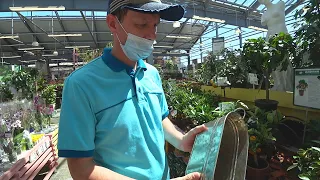 Inside Huge Russian Garden Center / Go Shopping  with Different Russia 2021