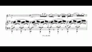 W.A.Mozart Sonata in G major for violin and piano K 379 (1/2)