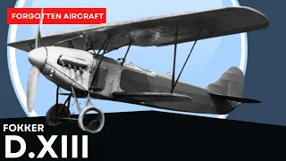 The Fokker D.XIII; Germany’s Secret Fighter