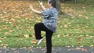 Yang Family tai chi long form second section