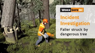 Incident Investigation: Top of Dangerous Tree Strikes Faller | WorkSafeBC