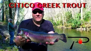 Trout Fishing Tennessee's Citico Creek